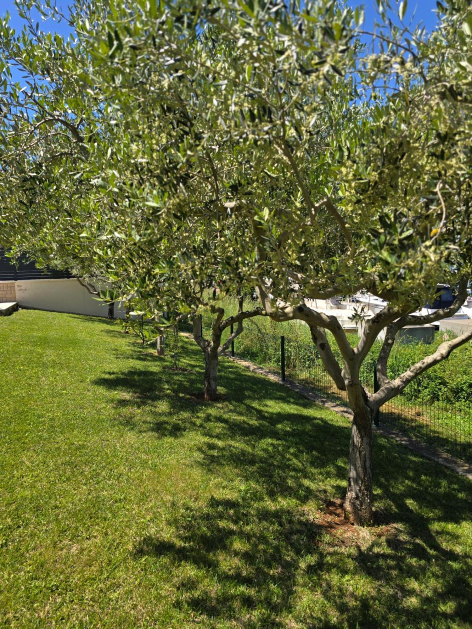 Olive Garden, Apartment With A Private Pool Баньоле Екстериор снимка